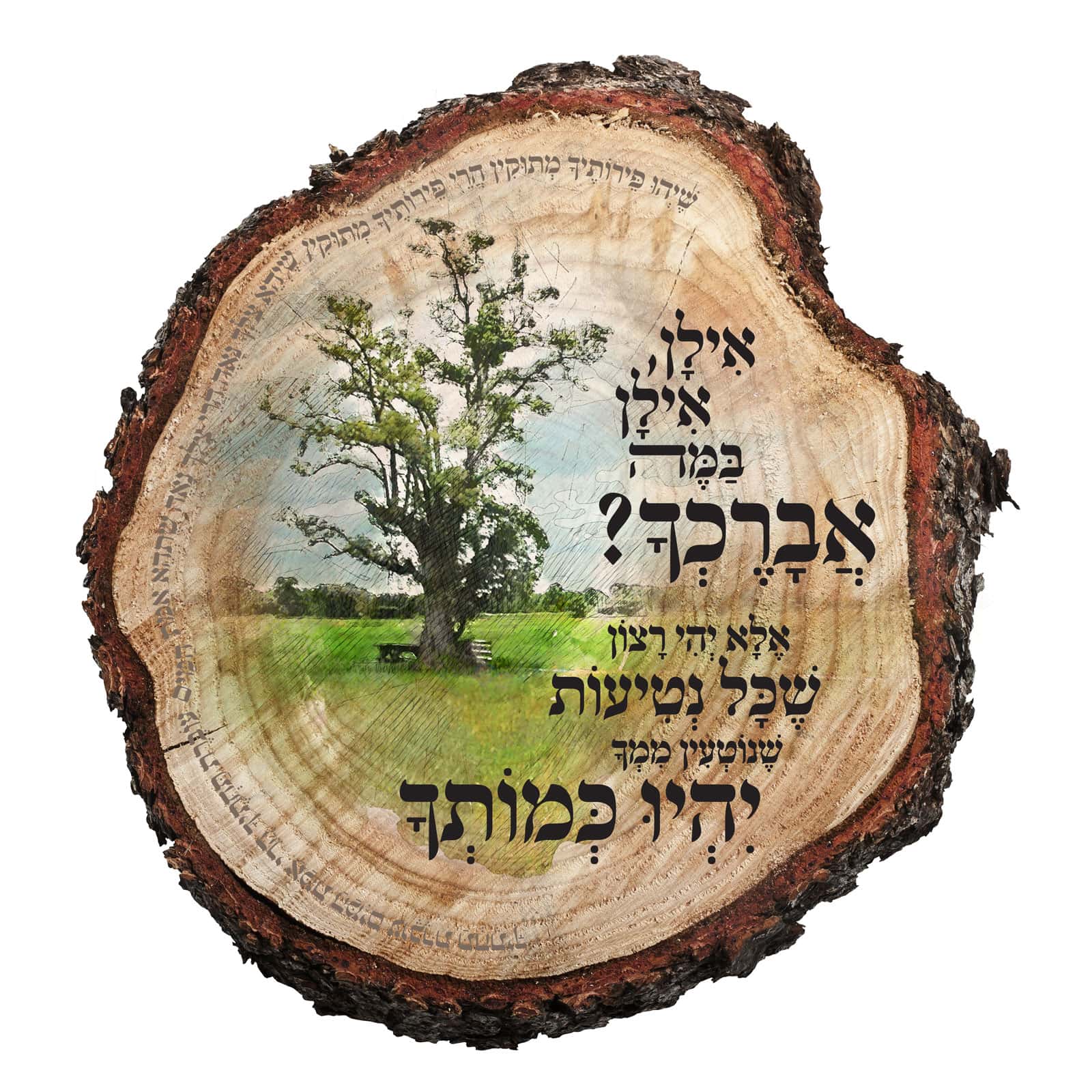 אילן אילן במה אברכך (ספקים) • פינסון - מתנות הוקרה