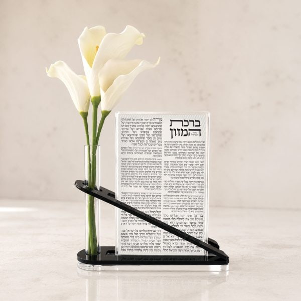 ⁦מתקן ברכונים מרהיב ויחודי⁩ – תמונה ⁦6⁩