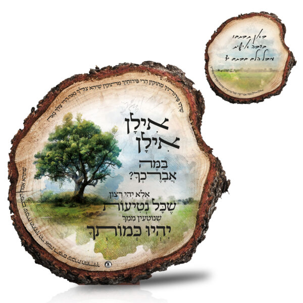 אילן אילן במה אברכך