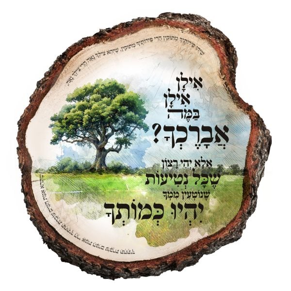 אילן אילן במה אברכך