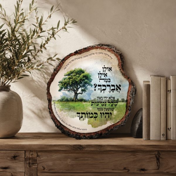 ⁦אילן אילן במה אברכך⁩ – תמונה ⁦3⁩