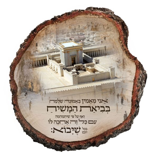 אני מאמין