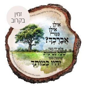 אילן אילן במה אברכך